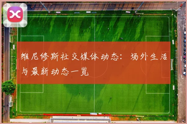 维尼修斯社交媒体动态:场外生活与最新动态一览